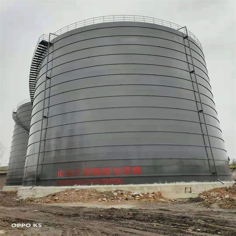 波莲镇3万吨大型钢板库