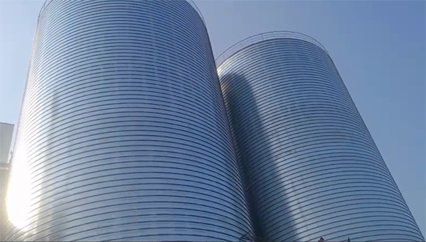 波莲镇2座混凝土高架卷板仓